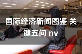 国际经济新闻图鉴 关键五问 nv